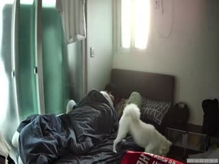 商场尾随偷拍美女裙底❤️JK白丝袜短裙靓妹,身材长相极品,,白色花边内网红级美女,透M白内小翅膀