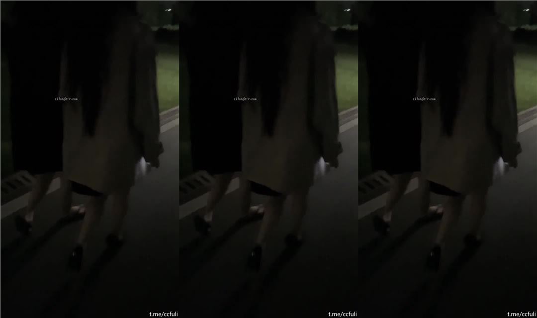 秘密房，双飞极品女神，户外公厕无套啪啪