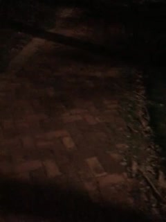 【爱吃菠萝】成都街头 18岁小萝莉挑战露出 行人车辆时不时经过 极品大胸 又害羞又兴奋蹦蹦跳跳