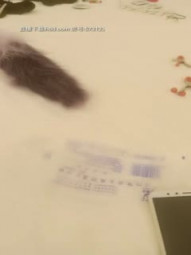 帝哥终极调教极品性爱女奴 全裸调教爆插后入 极品丰臀全身骚字“骚逼 母狗”深喉口交 完美露脸