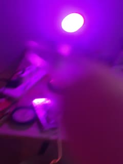 zhubo涵涵路路姐妹花_20221229_2220