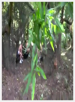 男同性恋者拳交吸吮接吻布赖恩邦兹停止在