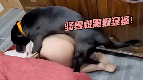 骚妻被黑狗猛操！