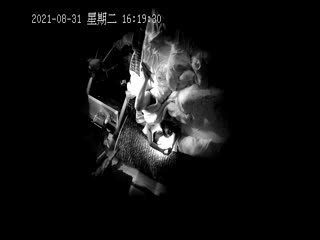 【甄选酒店 8月31日极速流出】稀有绿叶房 二逼青年约战极品蜜桃臀女友 性瘾超强连干三炮 操不够啊